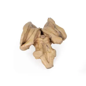 3D Printed Brain Stem, Deep Cerebral and Diencephalic Structures