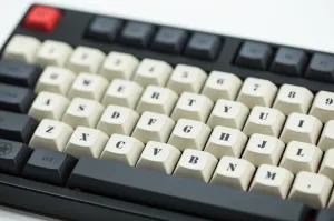 DSA Combat