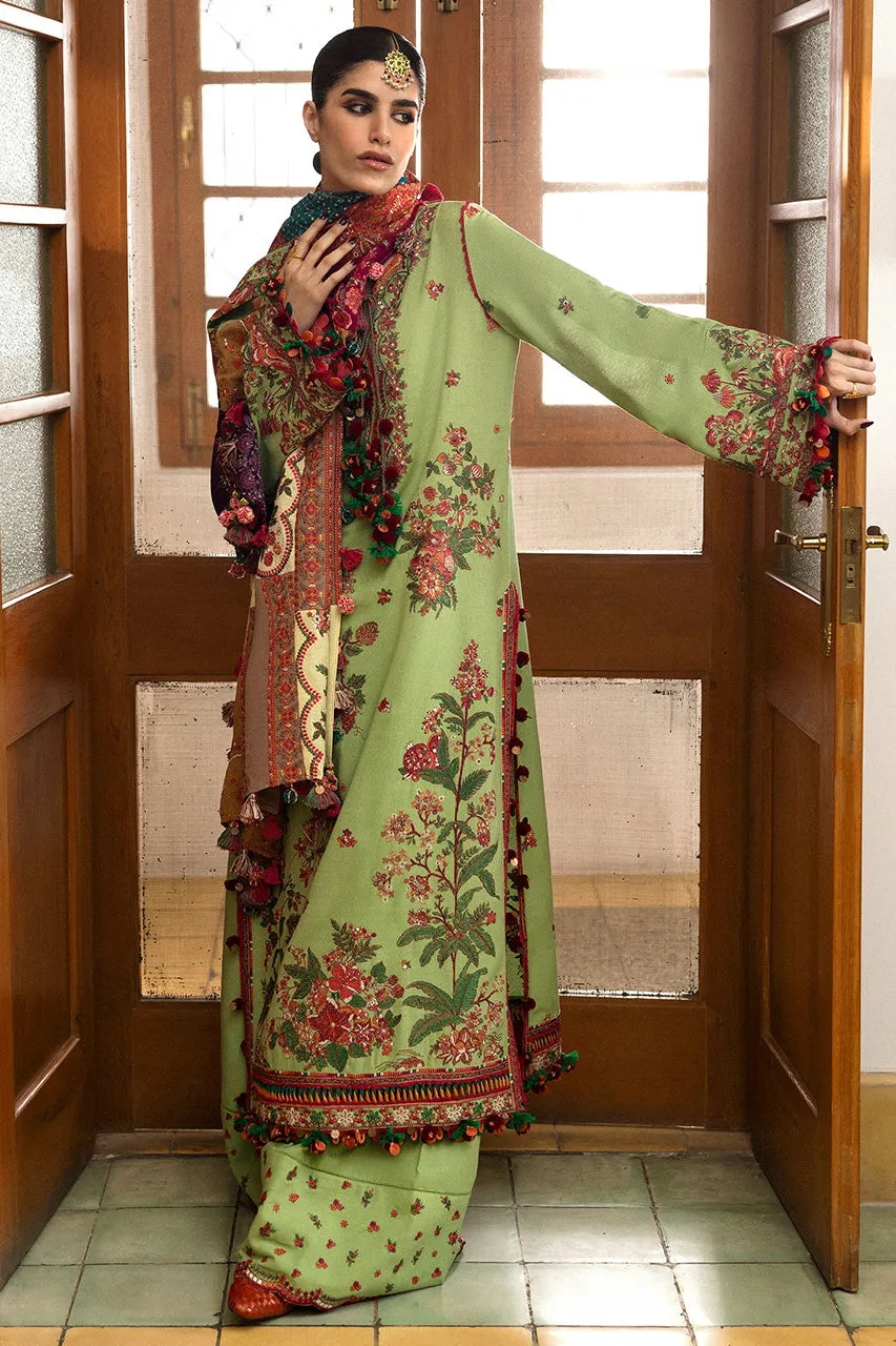 Karandi A/W'24 - Mosy