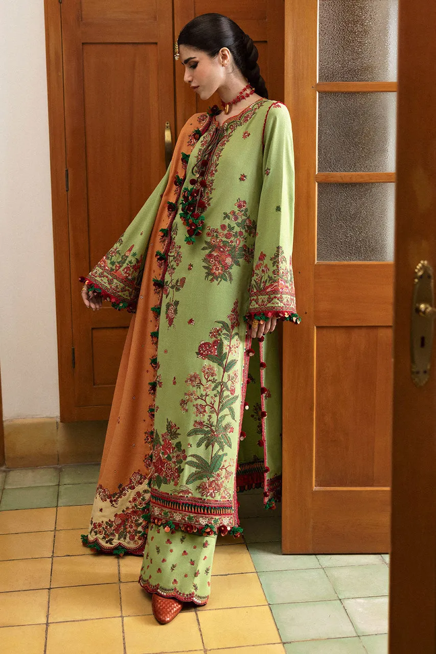 Karandi A/W'24 - Mosy