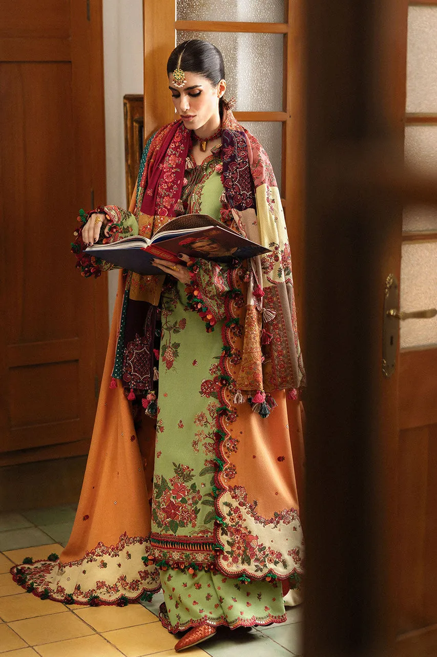 Karandi A/W'24 - Mosy