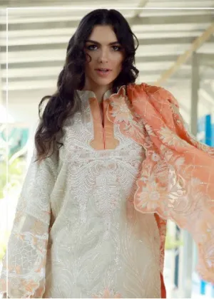 Marjan Chiffon Collection by Rangoli – Design 1