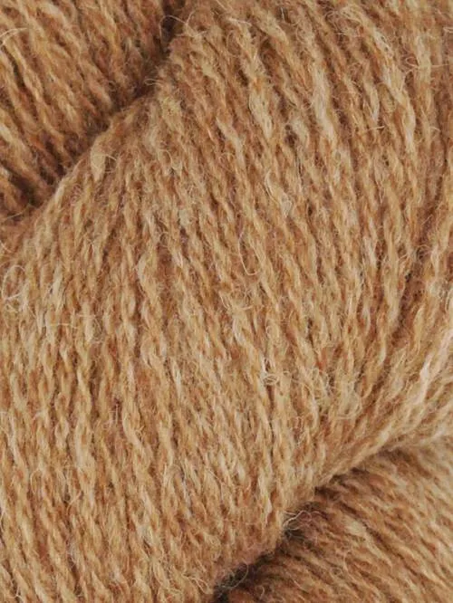 Queensland Shetland Lite