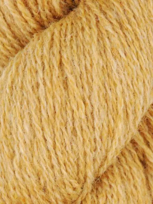 Queensland Shetland Lite