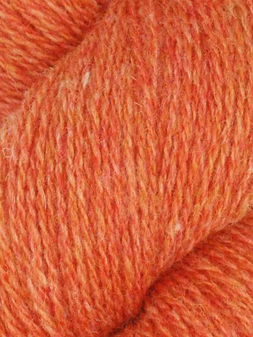 Queensland Shetland Lite